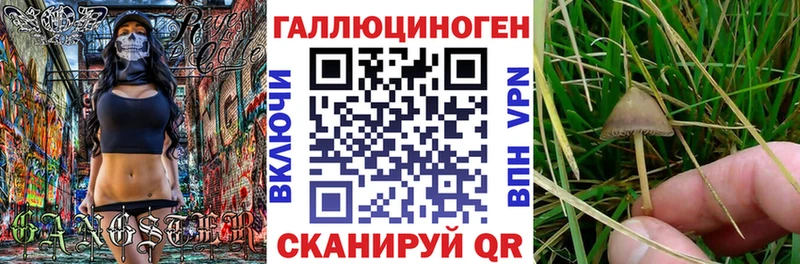 Галлюциногенные грибы MAGIC MUSHROOMS  Красный Кут 